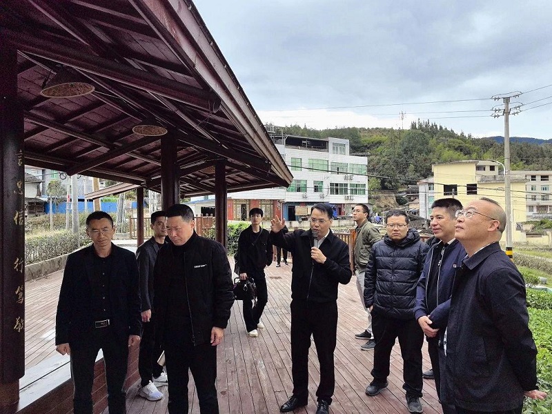 非凡娱乐